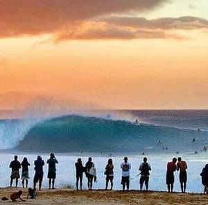 Meet your Posher, Char